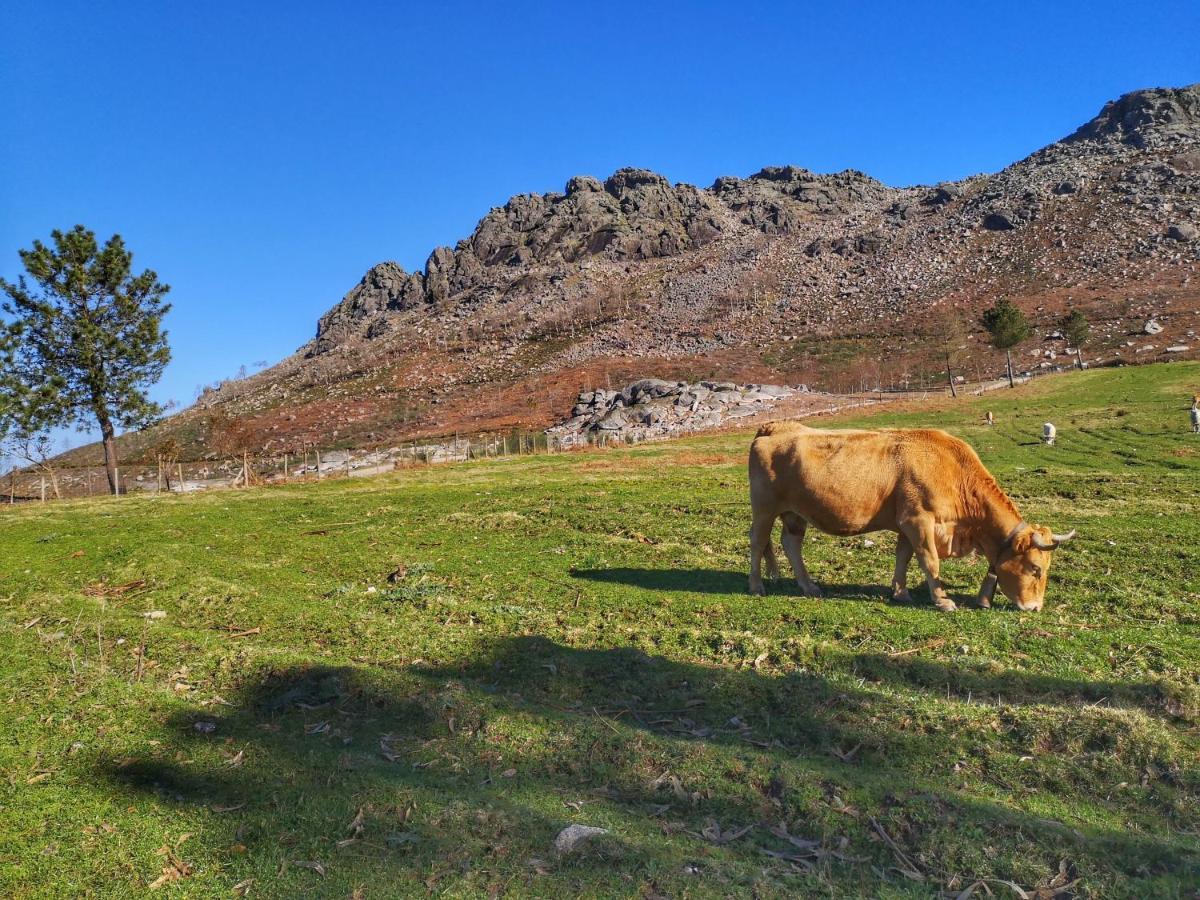 Hogar Gallan Gondomar Buitenkant foto