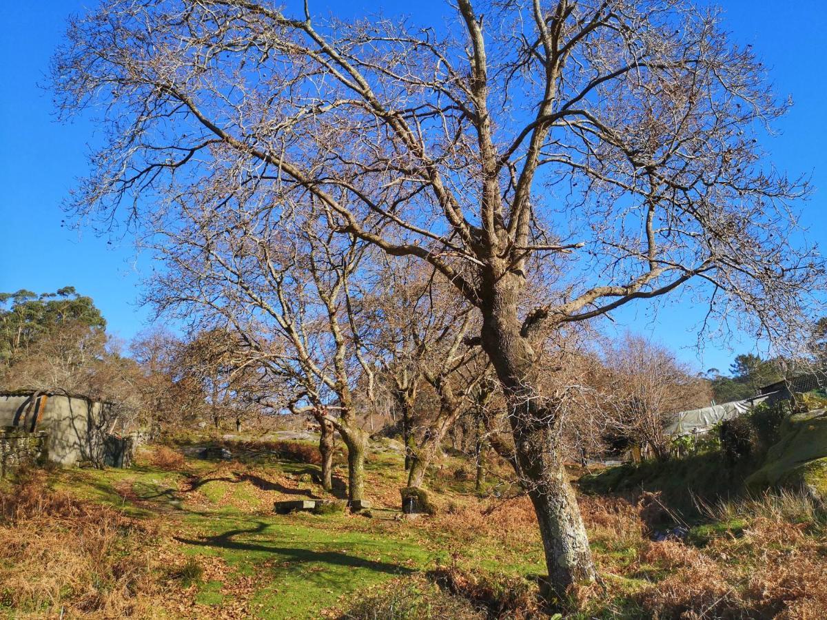 Hogar Gallan Gondomar Buitenkant foto